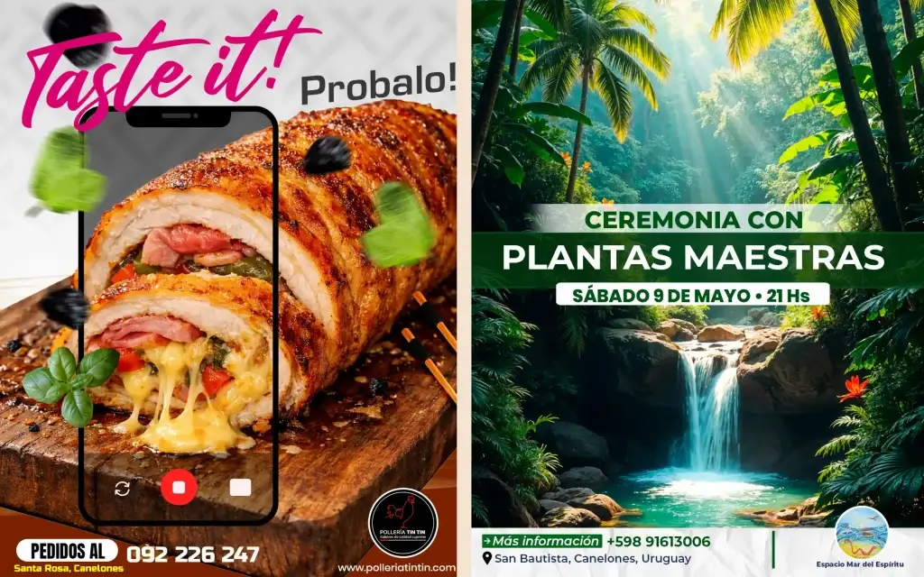 diseno grafico web